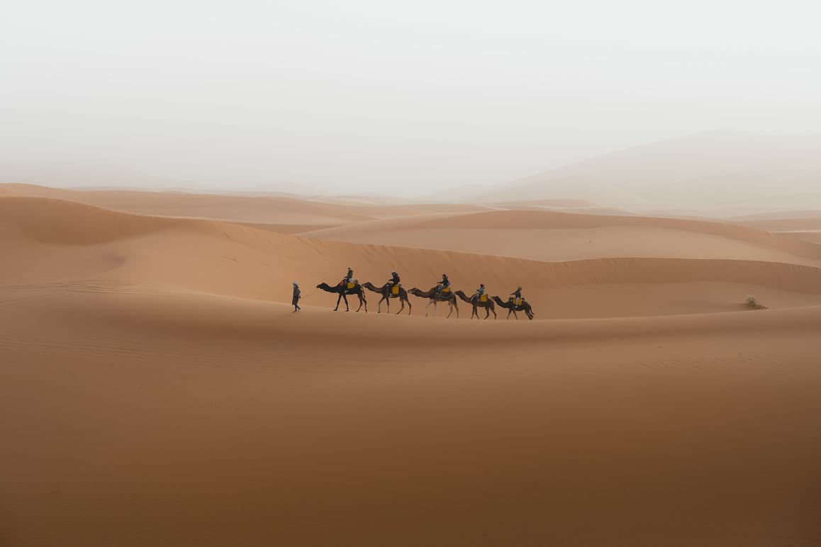 Sunset Camel Ride