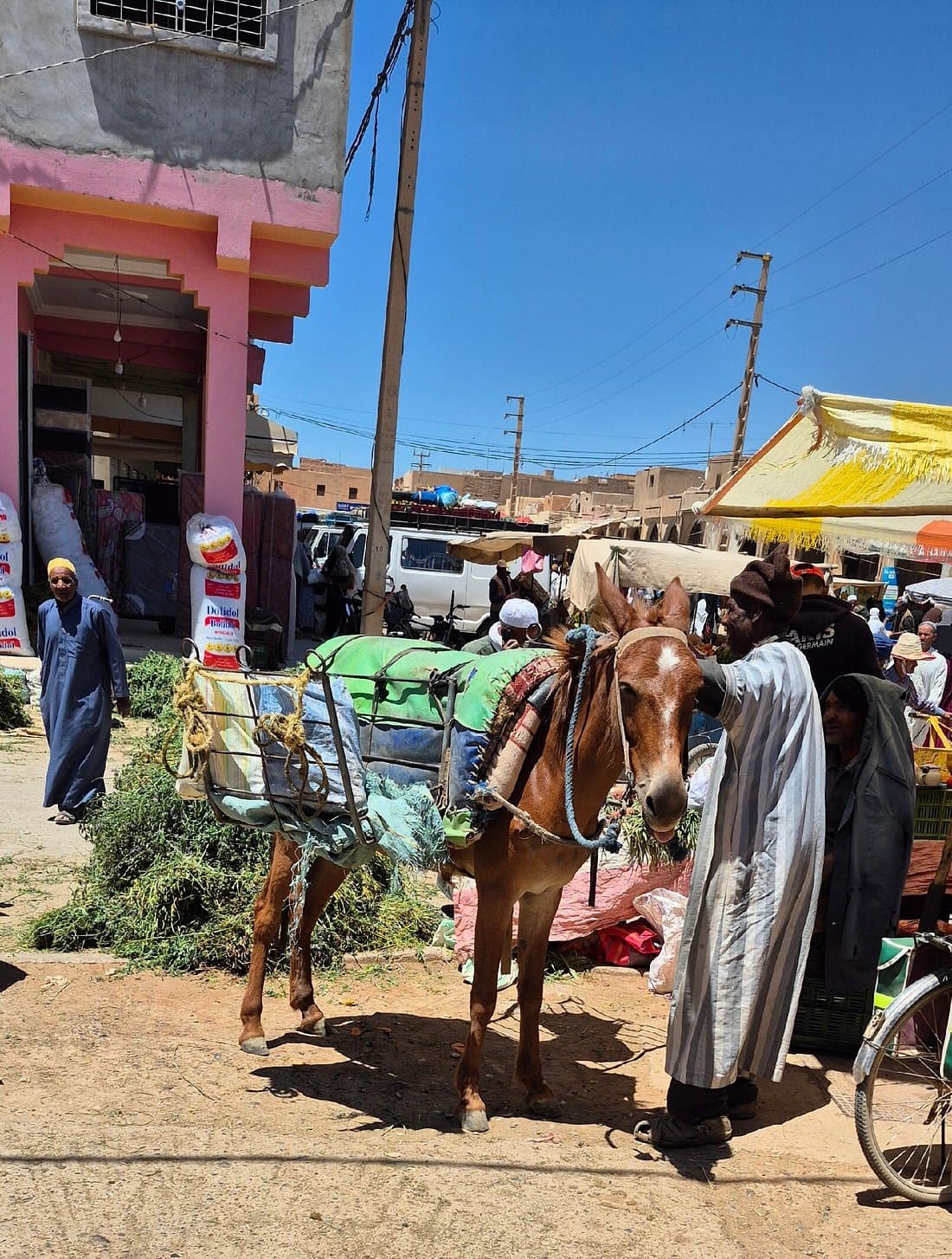 3-Day Tour: Fes to Marrakech
