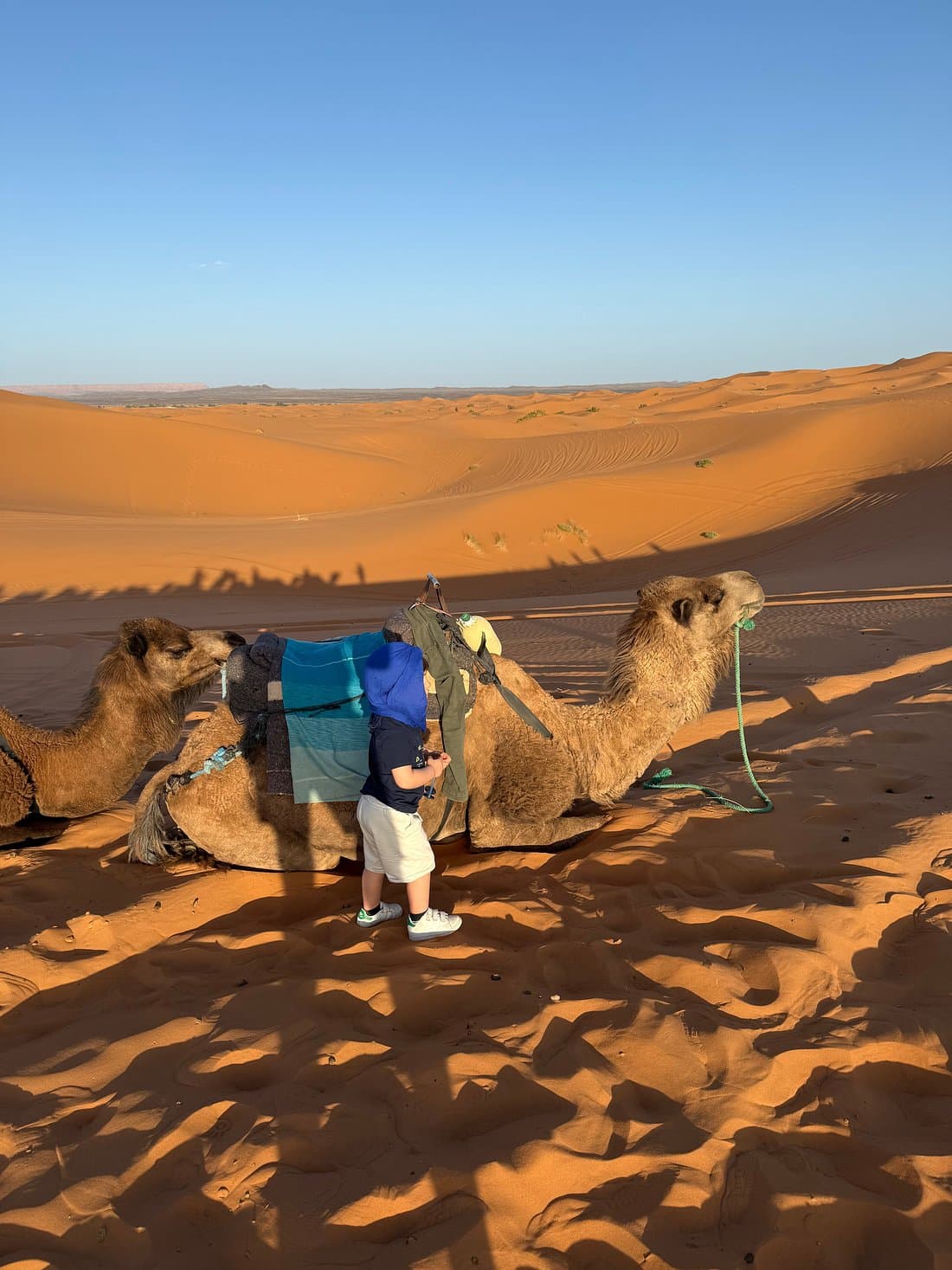 3-Day Tour: Marrakech to Fes